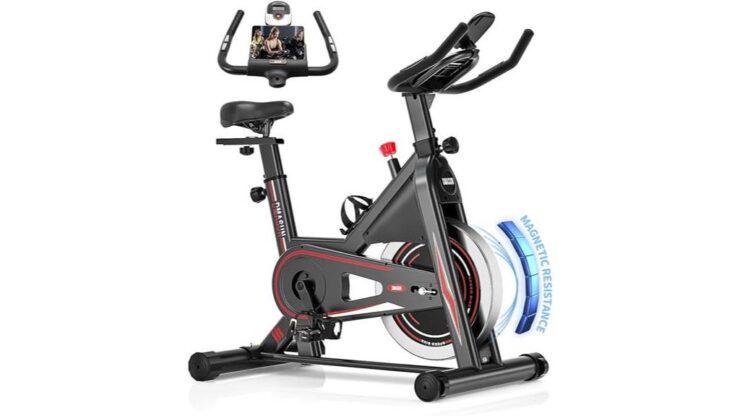 dmasun magnet resistance fitnessbike